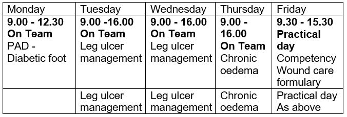 Weekly timetable lower limbs v2